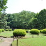 庭園