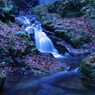 冬を探して　払沢の滝　完