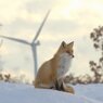 北の大地に生を受け