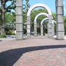 静岡7