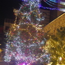 IMGP3045a