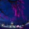 光の祭典・１７