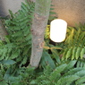 静岡9