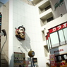 静岡11