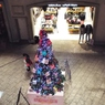 クリスマスツリー2
