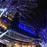 JR HAKATA CITYの夜1