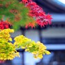 3078-27永観堂
