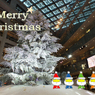 メリーX'mas1