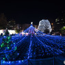 I wish you a merry Christmas!