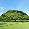 生命 (いのち) の樹 ①