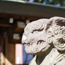 狛犬_秋葉神社(表参道)