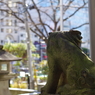 狛犬_秋葉神社(表参道)
