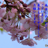 年末1