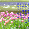 年末3