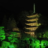 IMGP3106