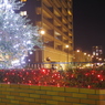 IMGP3140