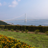 淡路ＳＡから見た明石海峡大橋（淡路島観光より）