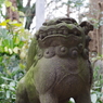狛犬_西久保八幡神社