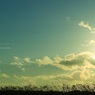 - Eternally  #8 -