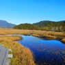 錦秋の尾瀬ヶ原２