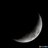 月齢4.8 夕月