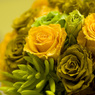 green yellow 1