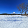 富士山と雪原