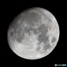 月齢11.8  十三夜
