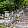 石塔が並ぶ石段（石塔寺より）