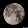 月齢14.8 十六夜