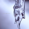 Frozen molding