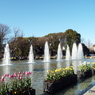 上野公園・噴水広場4