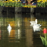 上野公園・噴水広場16