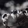 輝ける時