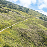 西登山道登り口（夏の伊吹山より）