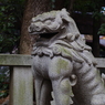 狛犬_渋谷氷川神社