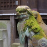 狛犬_渋谷氷川神社