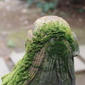 狛犬_渋谷氷川神社
