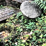ぬくもりの森7