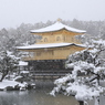 今日も雪予報らしい・・・