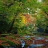 菊池渓谷8