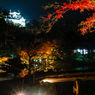 錦秋の彦根城借景２(玄宮園より）