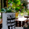 GARDENING 05