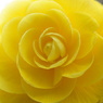 DSC00083