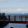 2017年1月三浦半島_11