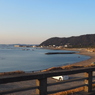 2017年1月三浦半島_20