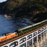 DD51-1186牽引 9033レ 特別なトワイライトエクスプレス