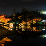 錦秋の彦根城借景３(玄宮園より）