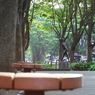 定禅寺通り