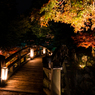 錦秋の高橋(玄宮園より）